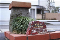 

耗资250万日元建全球最迷你绿地 微型景