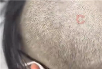 

清凉造型新突破：高校女生诠释另类消
