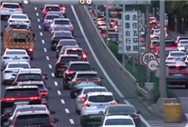 

《蚁群导航策略破解现代都市交通流优